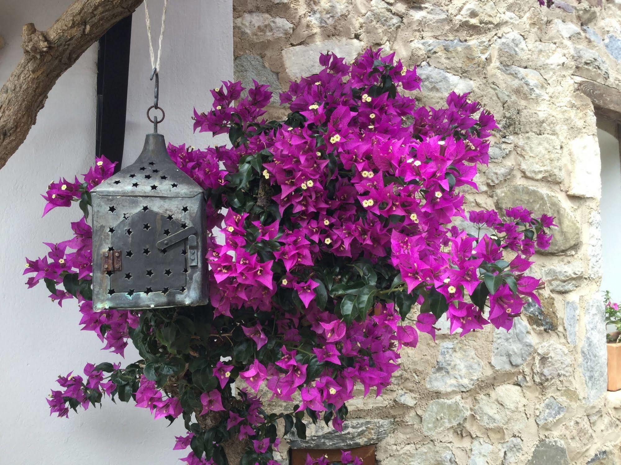 Hotel Villa Tokur Datça Exterior foto