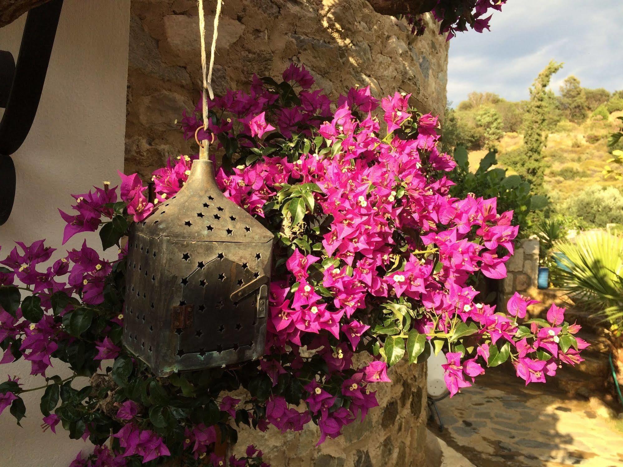 Hotel Villa Tokur Datça Exterior foto